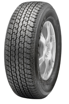 Tyre BRIDGESTONE D840