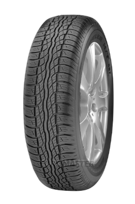 Tyre BRIDGESTONE DUELER D687