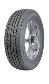 Tyre DUNLOP GRANDTREK ST30