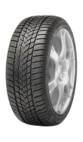 GOODYEAR ULTRAGRIP PERFORMANCE 2