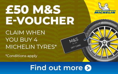 Michelin free gift promotion