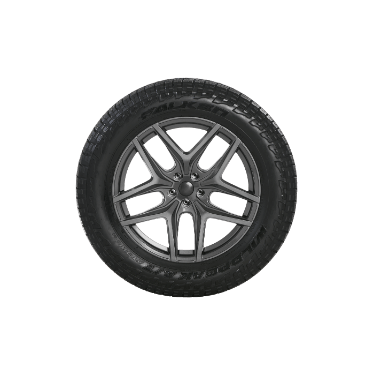 FALKEN WILDPEAK A/T AT3WA