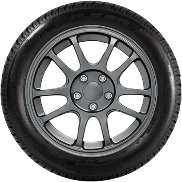 FALKEN EUROWINTER HS02